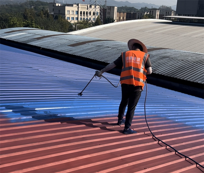 ���������������P�F������